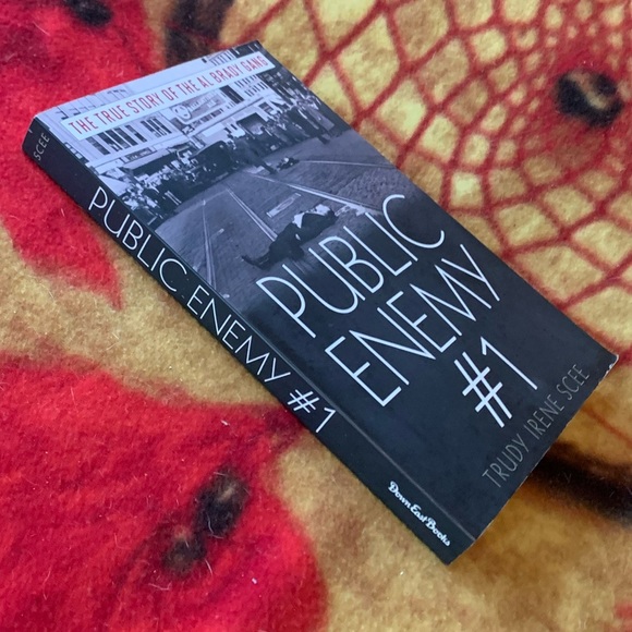 PUBLIC ENEMY NUMBER ONE - By Trudy Irene Scee (paperback) book - Picture 2 of 5